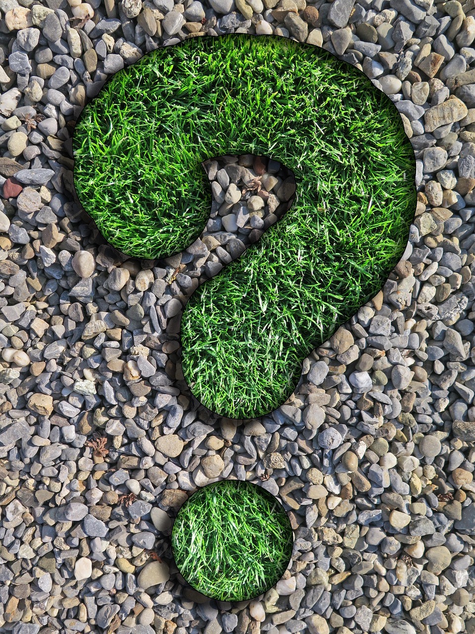 question, counselor, lawn, pebbles, question mark, nature, green, gray, beautiful wallpaper, round, background, weed, gravel, texture, iphone wallpaper